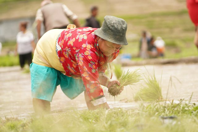 Urban Gardening: Growing Food in Small Spaces
